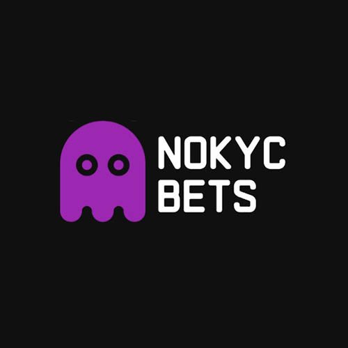 NoKYCbets Casino logo